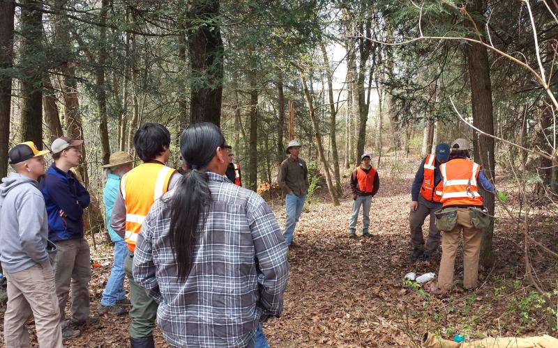 Photo courtesy of Hemlock Restoration Initiative Participants at a hemlock treatment demonstration look on as HRI employees teach how to chemically treat a hemlock.